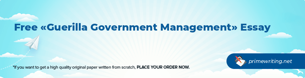 Guerilla Government Management